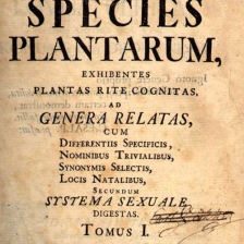 Species_plantarum_001