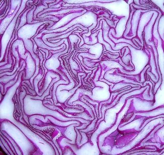 1200px-purplecabbage
