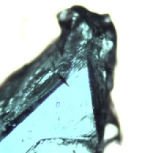 cristales sulfato cobre 100x 3